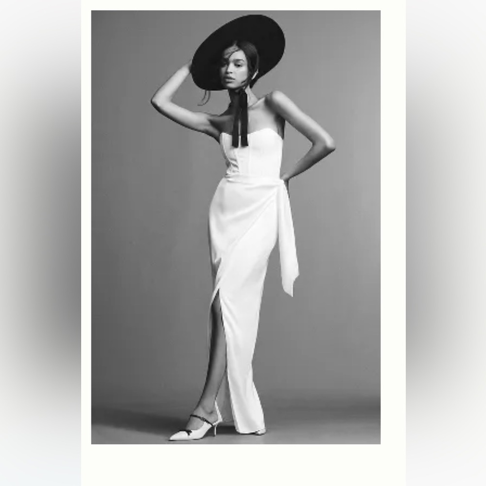 V Chapman June corset dress NWT